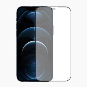 Premium Glass Protector voor iPhone 12 Pro Max
                            