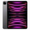 iPad Pro 12.9 Inch (2022) 1TB Space Grey Wifi + 5G