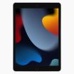 iPad reconditionné 2021 256 Go Gris sidéral  4G