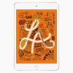 Remis à neuf iPad mini 5 256 Go Or Wi‑Fi