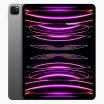 iPad Pro 11 pouces (2022) 256 Go Noir Wi‑Fi + 5G