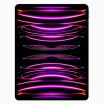 iPad Pro 12.9 Inch (2022) 1TB Space Grey Wifi + 5G