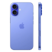 iPhone 16 Plus 128 Go Bleu