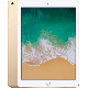 iPad reconditionné 2017 32 Go doré 4G