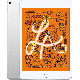 Remis à neuf iPad Mini 5 256 Go Argent Wi‑Fi