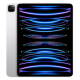 iPad Pro 11 inch (2022) 512GB Zilver Wifi Only