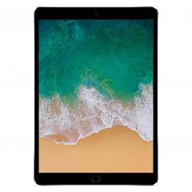 iPad Pro 12.9 Pouces (2016) 128Go Argent Wifi Only