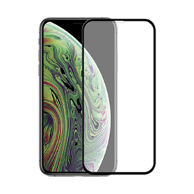 Protecteur en verre premium pour iPhone X / XS / 11 Pro