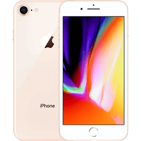 iPhone 8 256GB Gold No Touch ID
