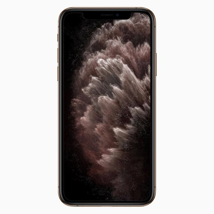 Reconditionné iPhone 11 Pro Max 64 Go Or