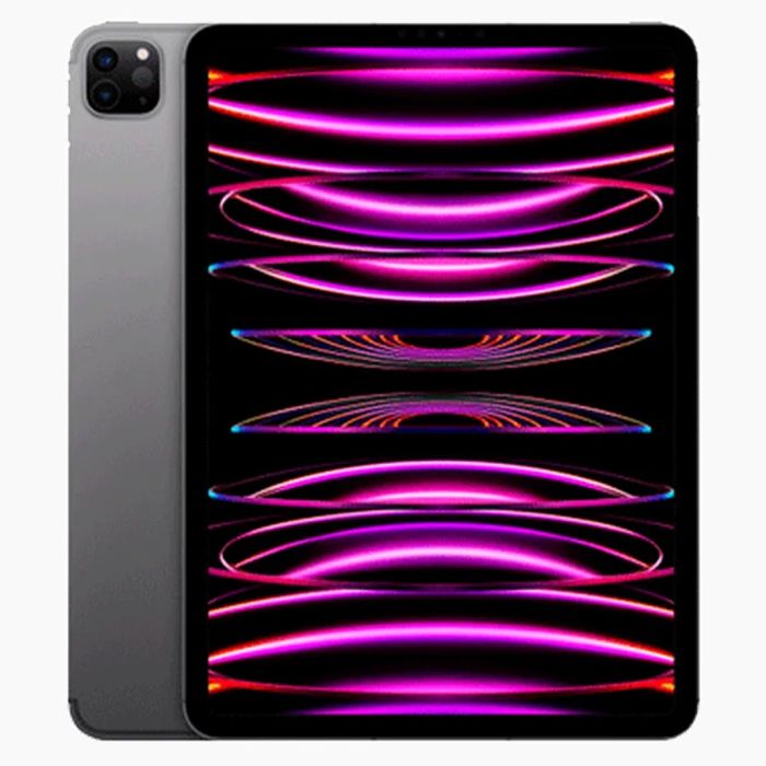 iPad Pro 11 pouces (2022) 512 Go Noir Wi‑Fi + 5G