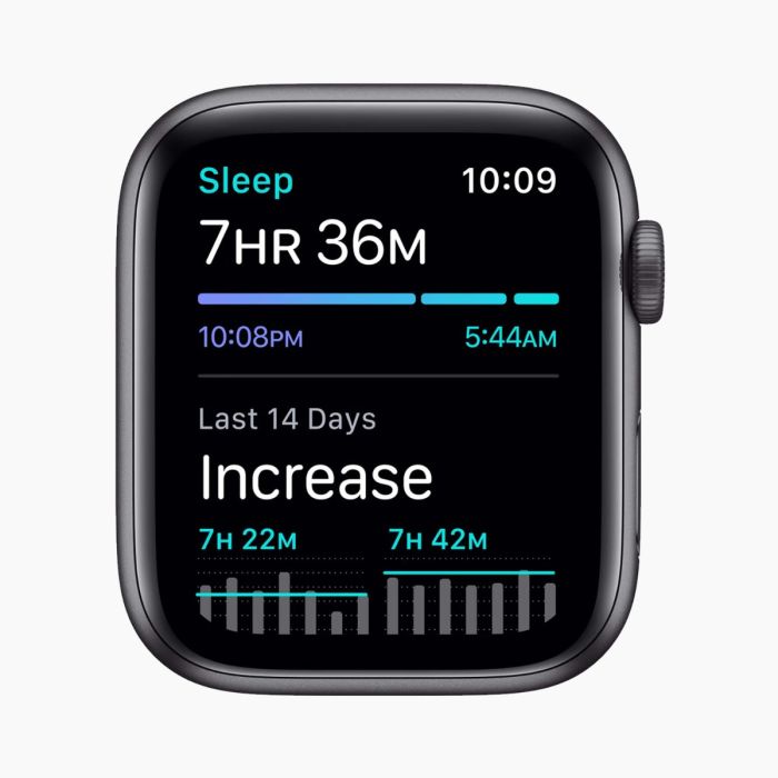 Apple Watch SE 2020 reconditionnée 40 mm aluminium noir Wi‑Fi avec bracelet sport noir