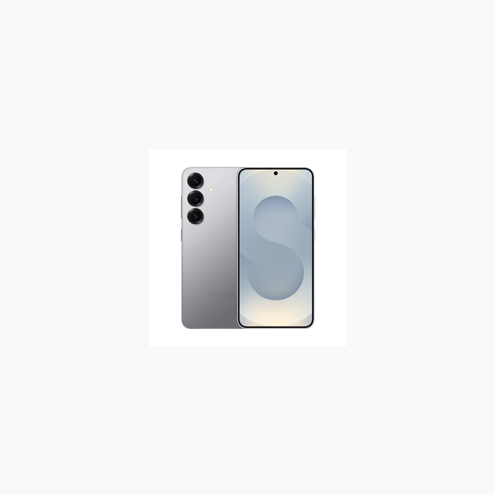 Samsung Galaxy S25 5G 128 Go Argenté (Double SIM)