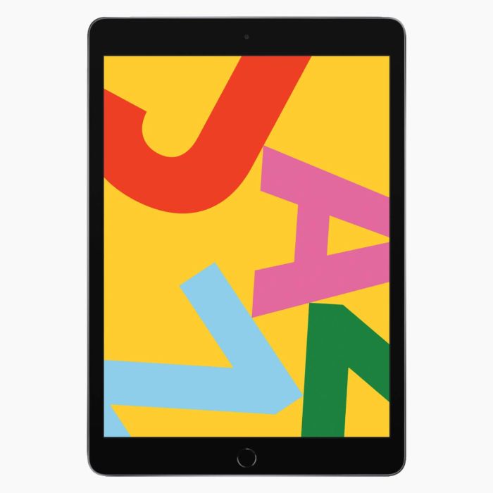 iPad reconditionné 2019 32 Go Gris sidéral  4G