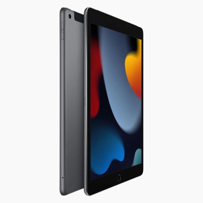 iPad reconditionné 2021 256 Go Gris sidéral  4G