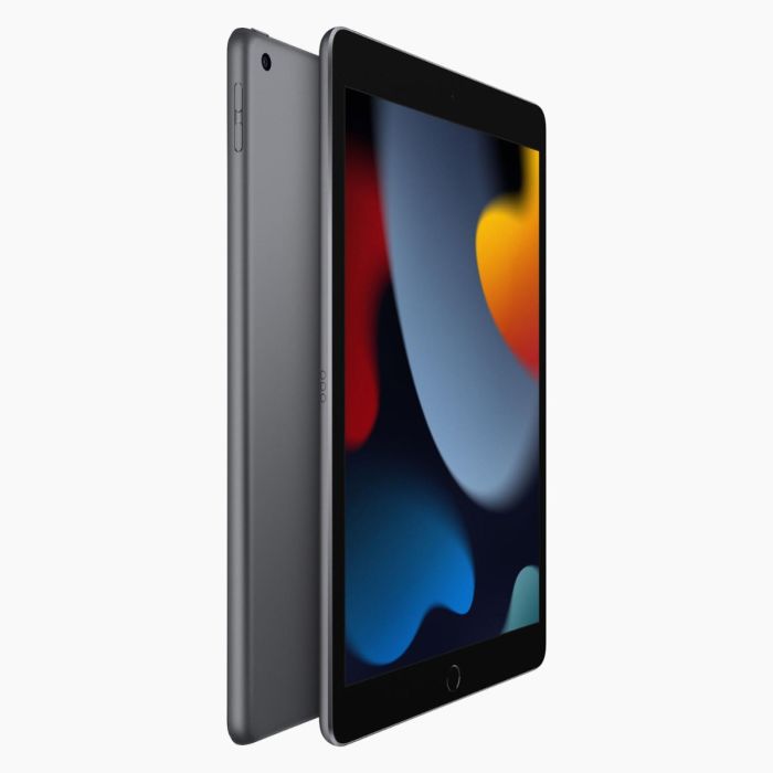 iPad reconditionné 2021 256 Go Gris sidéral  Wi‑Fi