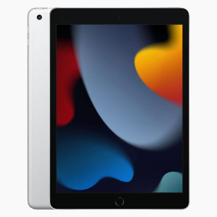 iPad 2021 reconditionné 64 Go Argent 4G