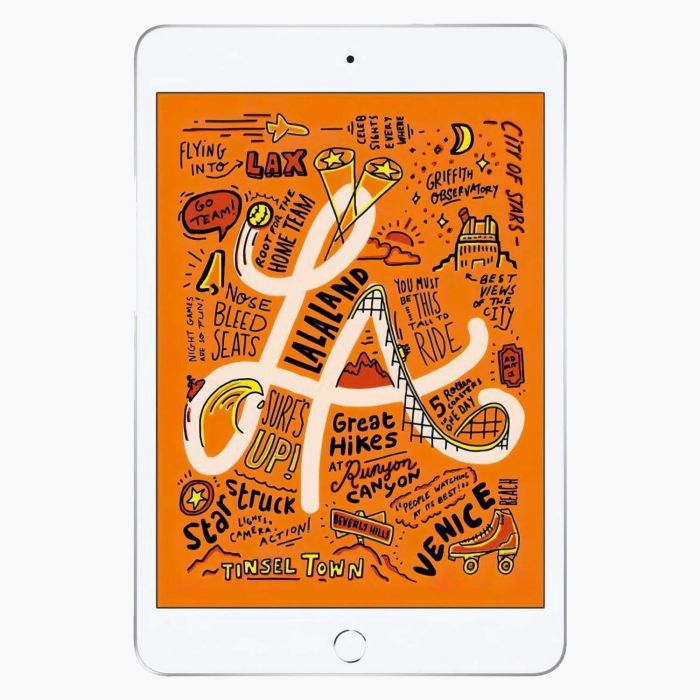 Reconditionné iPad Mini 5 64 Go Argent 4G