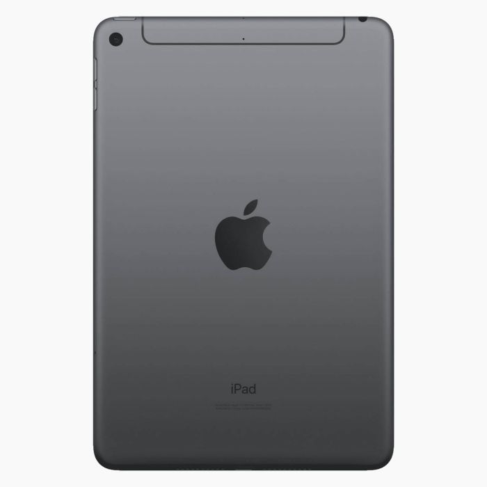 iPad mini 5 reconditionné 64 Go Gris sidéral  4G