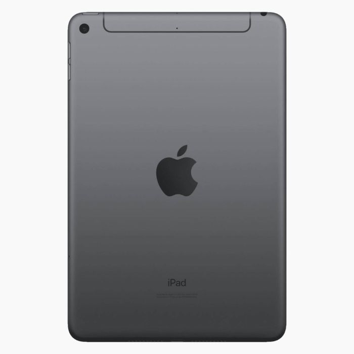 Reconditionné iPad Mini 5 256 Go Gris sidéral  4G