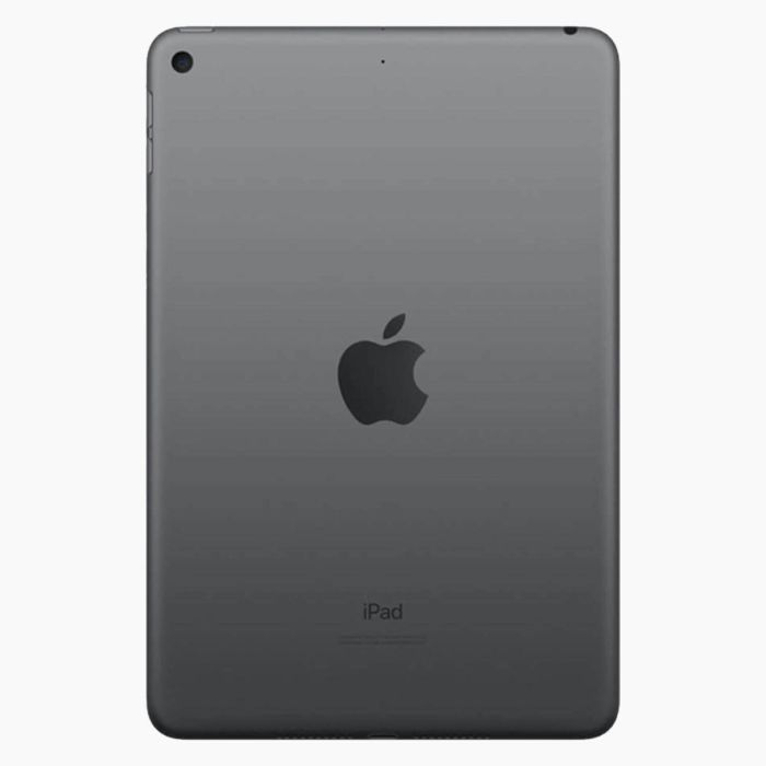 iPad mini 5 reconditionné 256 Go Gris sidéral  Wi‑Fi