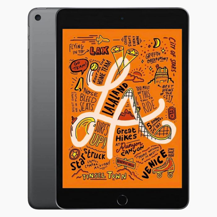 iPad mini 5 reconditionné 256 Go Gris sidéral  4G