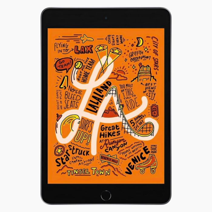 Reconditionné iPad mini 5 256 Go Gris sidéral  Wi‑Fi