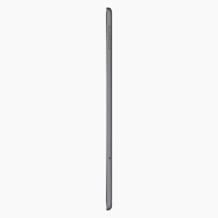 iPad Mini 5 reconditionné 256 Go Gris sidéral  4G