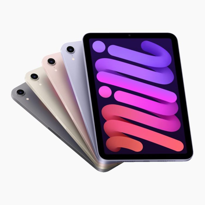 Reconditionné iPad Mini 6 256 Go Rose Wi‑Fi + 5G