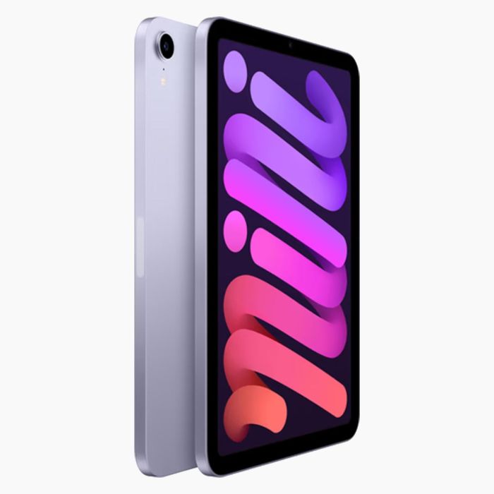 iPad Mini 6 reconditionné 256 Go violet Wi‑Fi