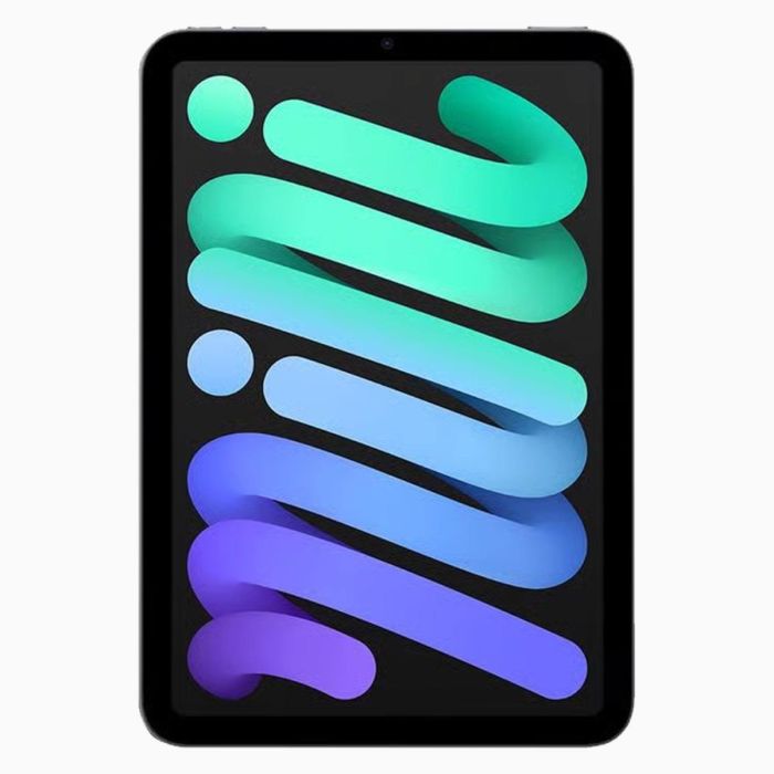 Reconditionné iPad mini 6 256 Go Gris sidéral  Wi-Fi