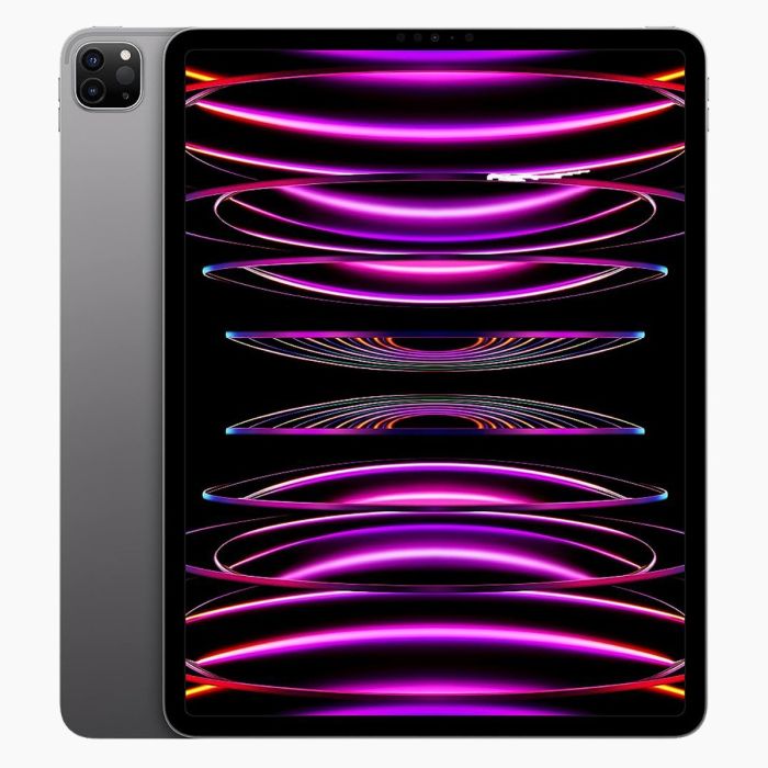 iPad Pro 11 pouces (2022) 256 Go Noir Wi‑Fi + 5G
