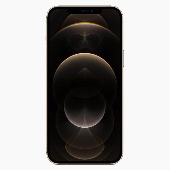 iPhone 12 Pro Max reconditionné 256 Go Or