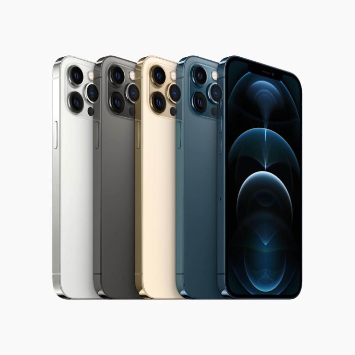 Refurbished iPhone 12 Pro Max 256GB Zilver                            