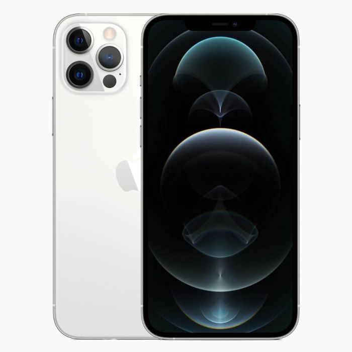 iPhone 12 Pro reconditionné 256 Go argent