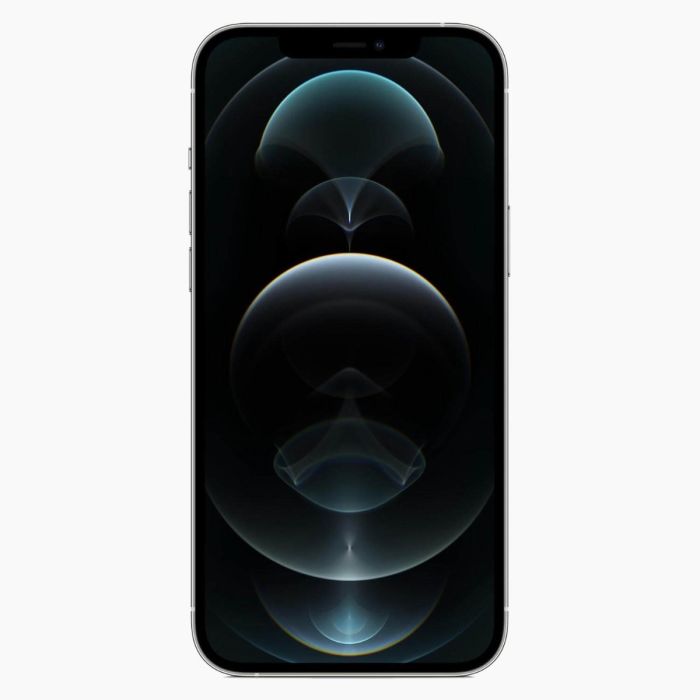 Refurbished iPhone 12 Pro Max 256GB Zilver                            