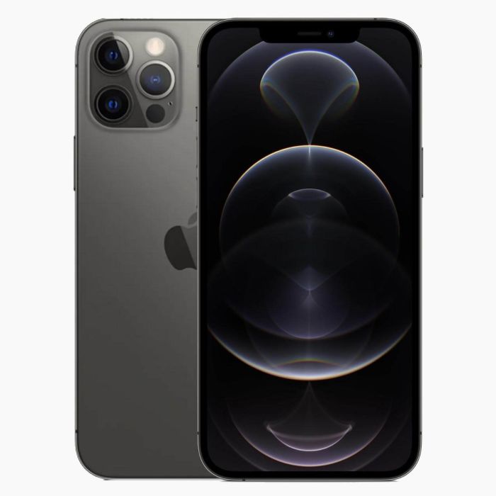 iPhone 12 Pro Max reconditionné 512 Go Noir