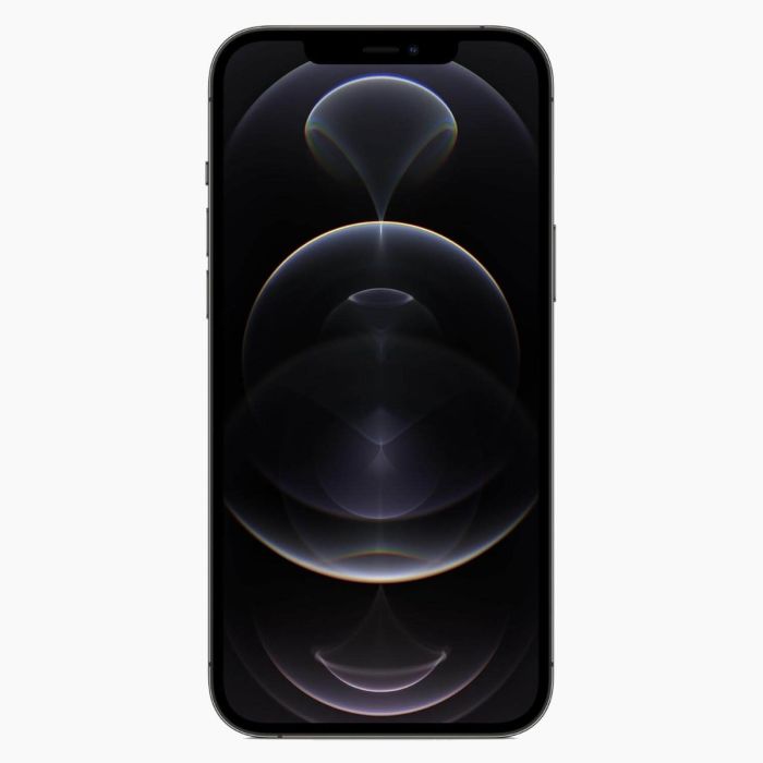 iPhone 12 Pro reconditionné 256 Go noir