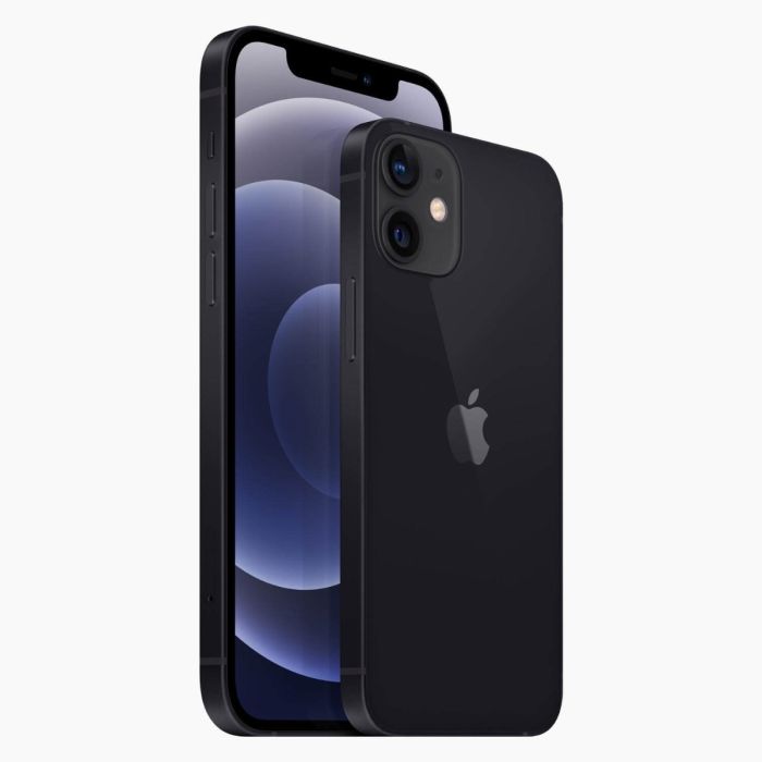 iPhone 12 256 Go Noir