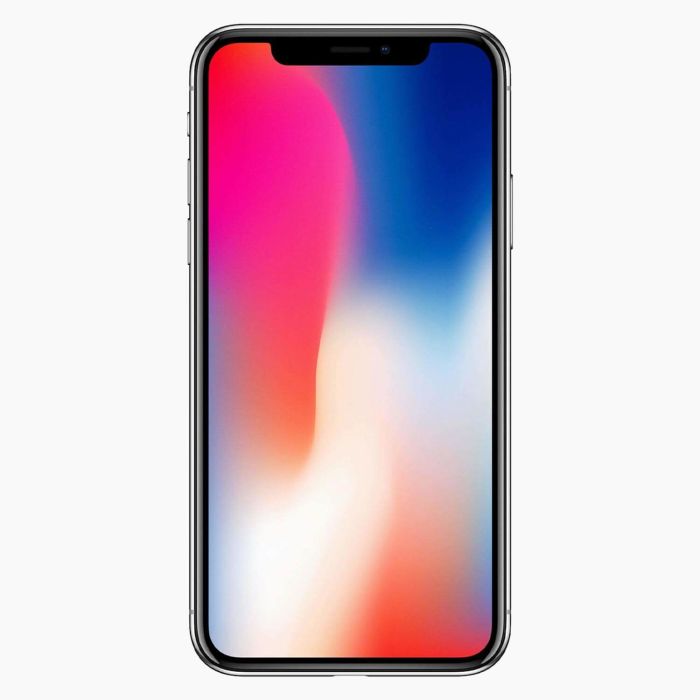 iPhone X reconditionné 256 Go Gris sidéral 