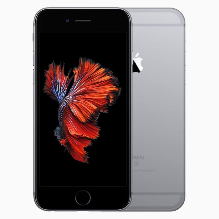 congestie maart Tegen de wil Refurbished iPhone 6S Plus 64GB Space Grey | 2 jaar garantie