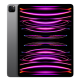 iPad Pro 12,9 pouces (2022) 128 Go Gris sidéral  Wi‑Fi + 5G