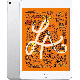 iPad Mini 5 64Go Argent Wifi reconditionné
