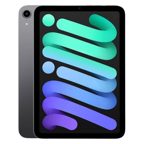 iPad Mini 6 64Go Gris Sidéral Wifi