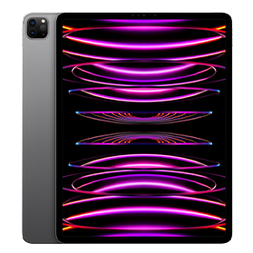 iPad Pro 12,9'' (2022) 256GB Grey Wifi B