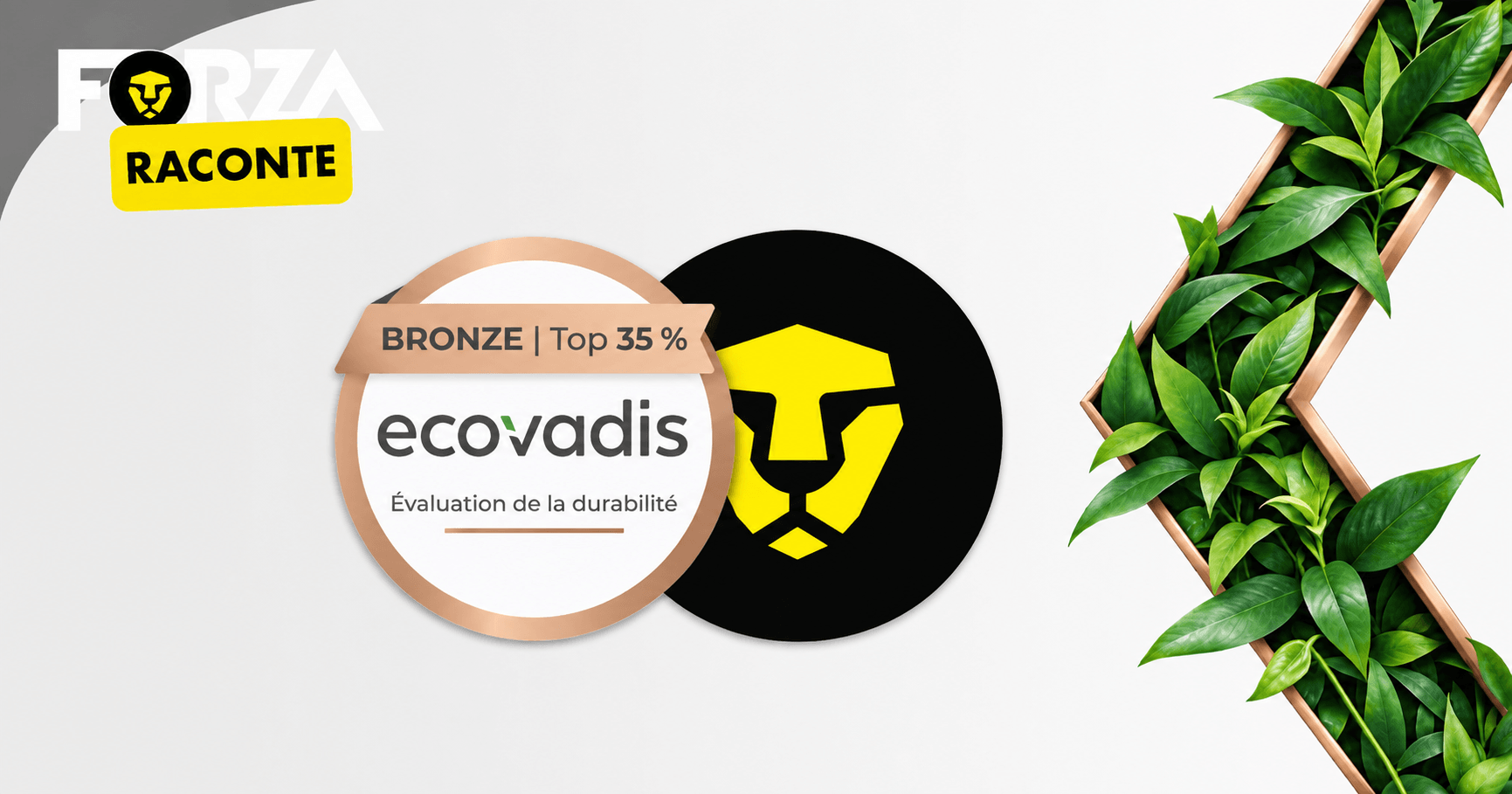 Ecovadis Forza Refurbished