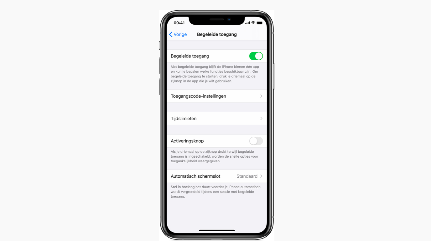begeleidende toegang iphone