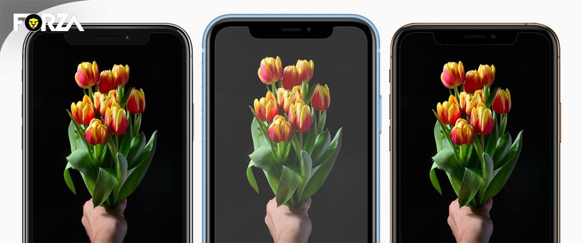 Beeldscherm verschil iPhone X en XR en XS