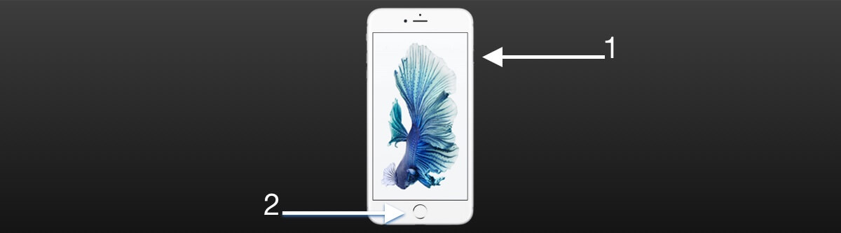 iphone 6s reset